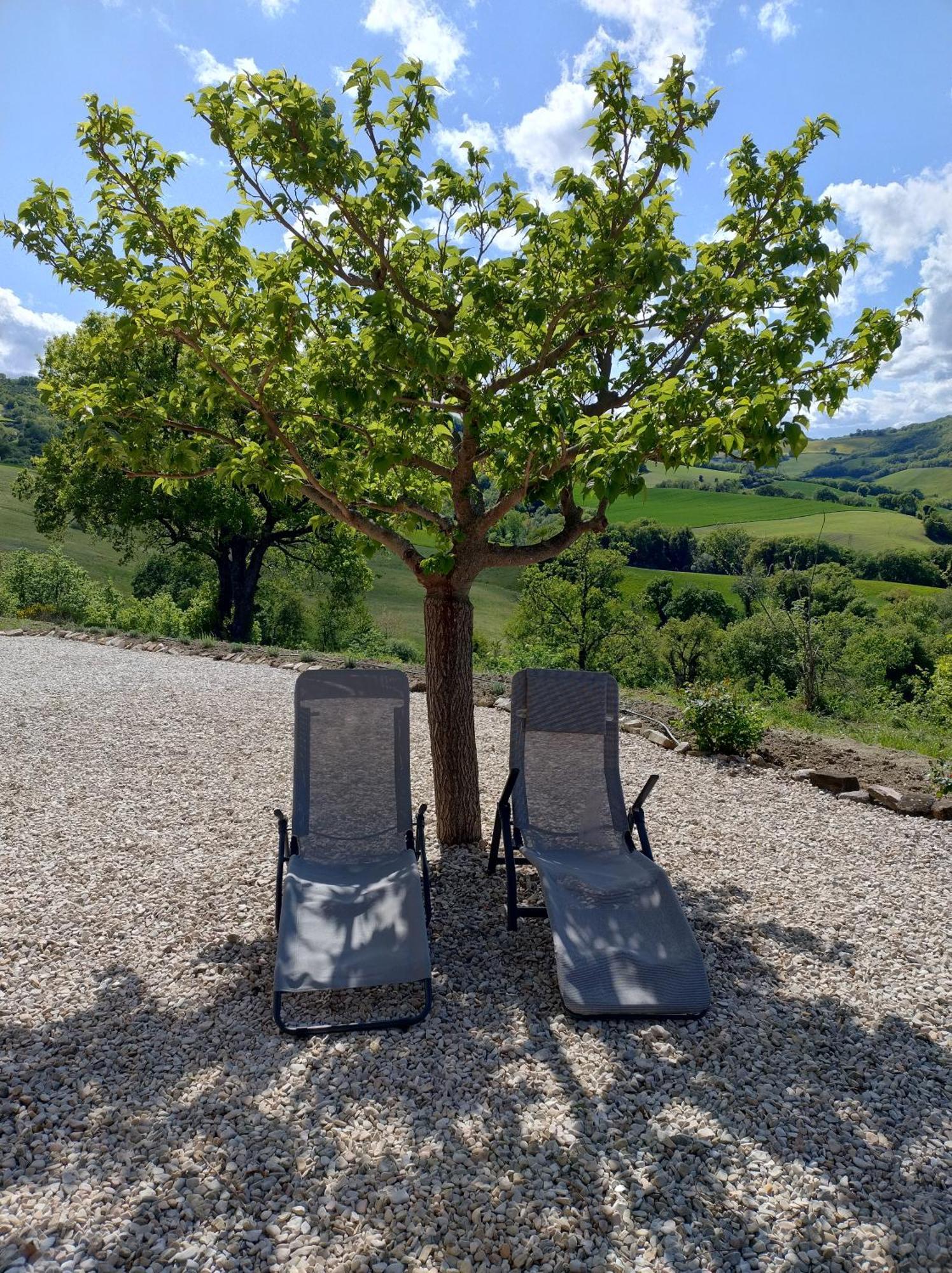 Rosa Nel Pozzo Apartments And B&B San Pietro  Экстерьер фото